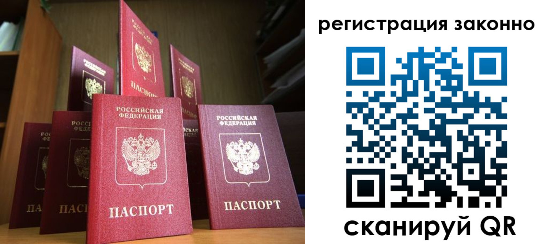 временная регистрация надежно в Брянской области